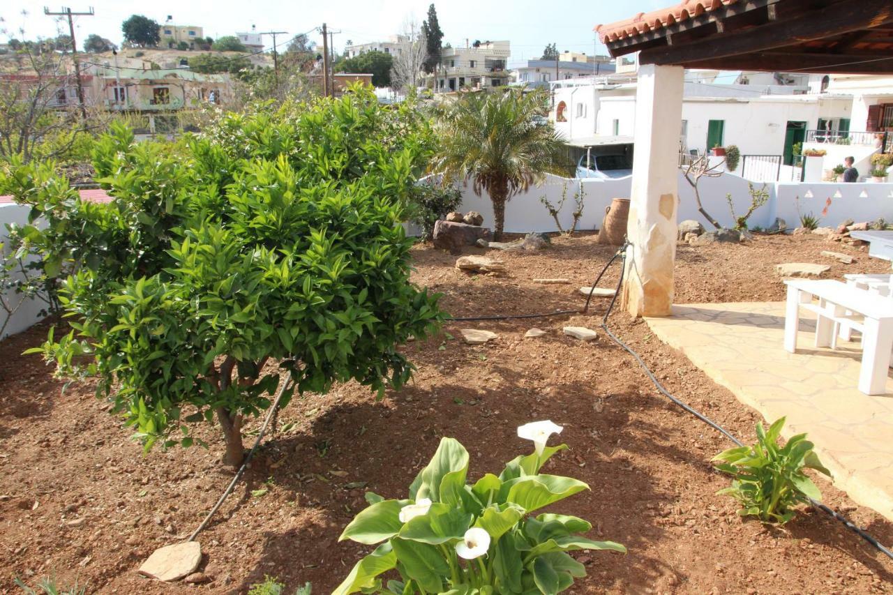 Olympias Studio "Pitsidia" מראה חיצוני תמונה